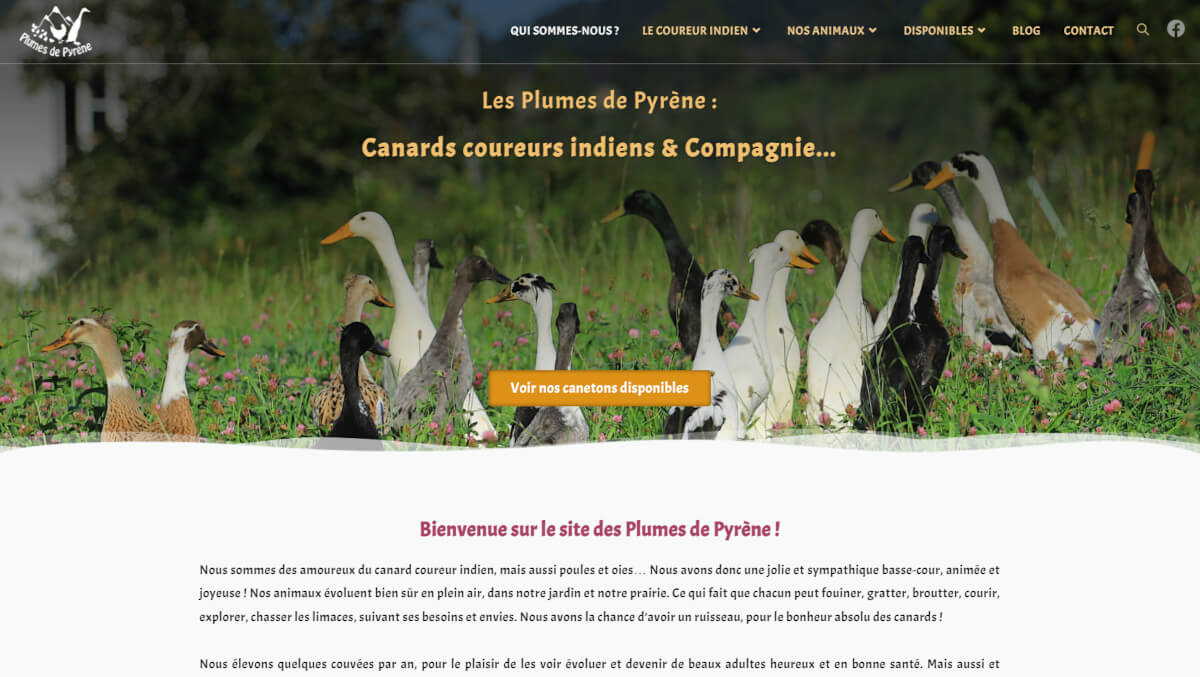 Création de sites web avec WordPress